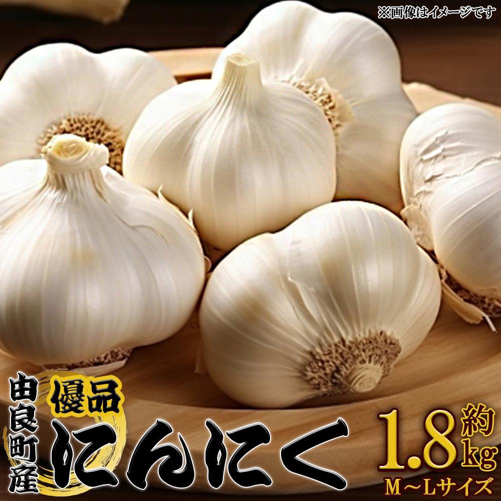 【ふるさと納税】由良町産にんにく 優品 約1.8kg(900g×2／M～Lサイズ)【SL18】 | 菜 やさい 食品 人気 おすすめ 送料無料