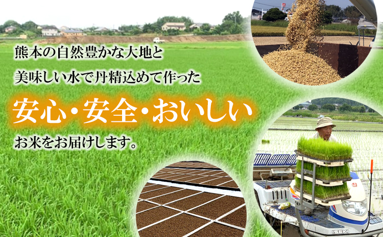 令和7年産 森のくまさん 10kg 株式会社羽根《60日以内に出荷予定(土日祝除く)》熊本県産 白米 精米  もりくま 米---sn_hnmori7_60d_25_26500_10kg---