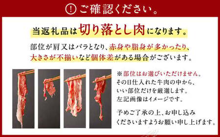訳あり 佐賀牛 切り落とし 600g【2026年3月発送予定】 牛肉 和牛 牛 お肉 肉 国産