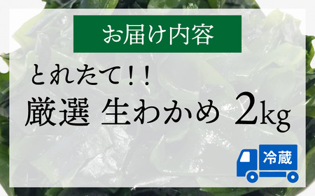 【とれたて！！】厳選生わかめ2.0kg／ 新鮮 お造り 刺身 晩酌 食卓 BBQ [B-018004]