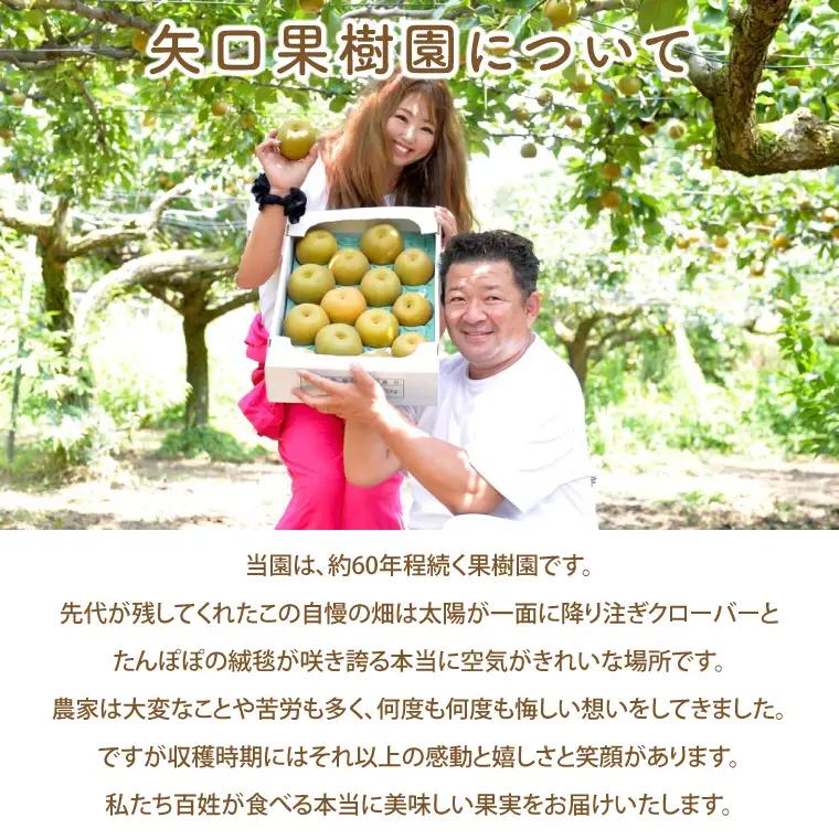 【10月より順次発送】【数量限定】秋の宝石。採れたての甘柿3kg（茨城県共通返礼品／かすみがうら市）（FW-5）