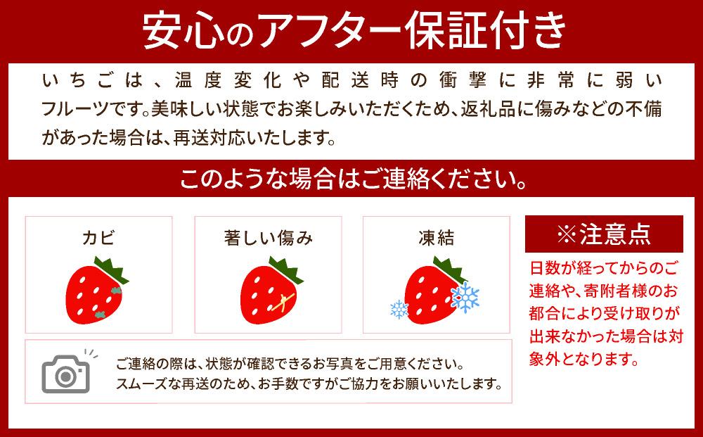 アフター保証対象！【先行予約】福岡産 春 あまおう 6パック（2月上旬より発送）|苺 いちご イチゴ 完熟 あかい まるい おおきい うまい フルーツ 果物 デザート 期間限定 産地直送 冷蔵 お取り