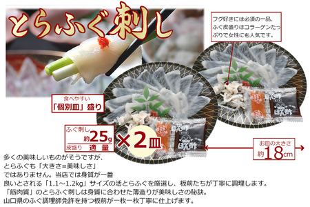 お中元ギフト【 仙崎】 化粧箱入り とらふぐ刺身1人前×2皿 ふぐ皮湯引き ポン酢 赤おろし ふぐの天ぷら6枚 プレゼント 贈り物 季節限定 きらく 長門市(10047)