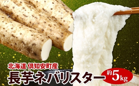 長芋 ネバリスター 北海道産 長芋【計5kg】