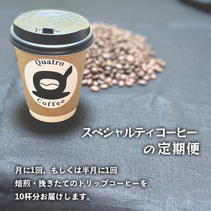 【３ヶ月定期便】自家焙煎スペシャルティコーヒー 15杯分 ドリップバッグ 12g×15個×3回 ドリップコーヒー 珈琲