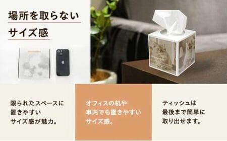 キューブ型 ティッシュ 42箱 ティッシュペーパー 日用品 日用品