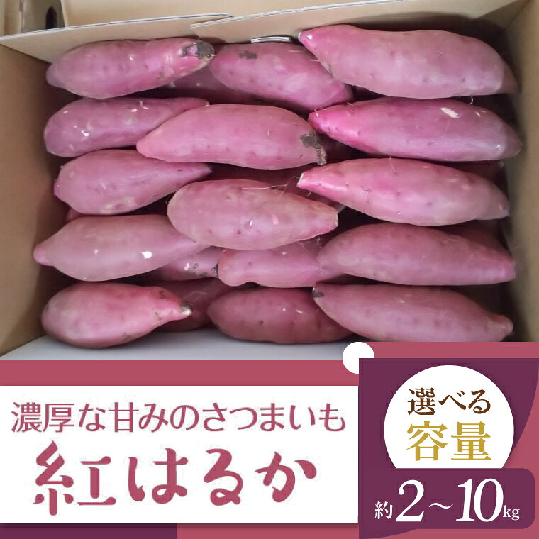 【ふるさと納税】【選べる内容量】【2026年11月より順次発送】2026年度産 濃厚な甘みのさつまいも 紅はるか 約2kg～10kg｜さつまいも 芋 お芋 紅はるか 渋谷農園 茨城県 行方市(BZ-15)