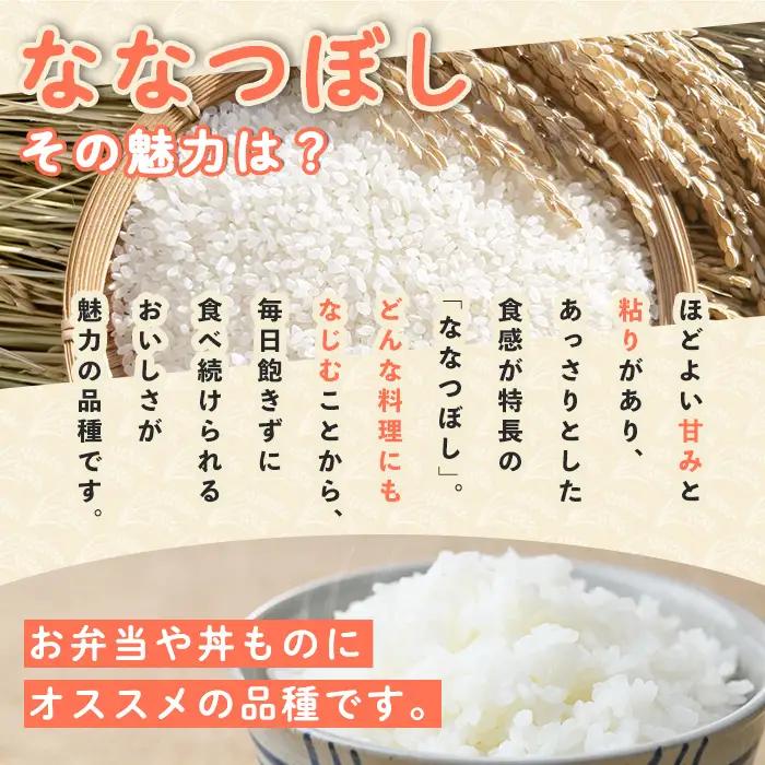 【定期便 隔月 6回】ななつぼし 朝日町のお米 白米 5kg 2026年11月から順次発送予定 北海道米 【城守商店】【E7102】