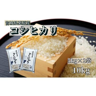 ふるさと納税 栗原市 【令和7年産】宮城栗原産 コシヒカリ 白米10kg (5kg×2袋)