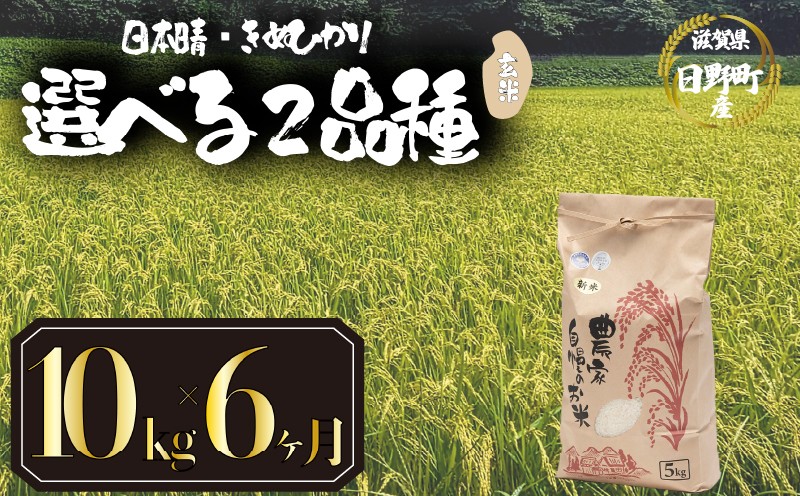 
            【 令和7年産 新米 10kg 定期便 6ヶ月 】 選べる 品種 日本晴 きぬひかり 米 玄米 2025年産 にほんばれ キヌヒカリ 国産 滋賀県 日野町 農家直送 お米 おこめ こめ 産地直送 ふるさと納税
          