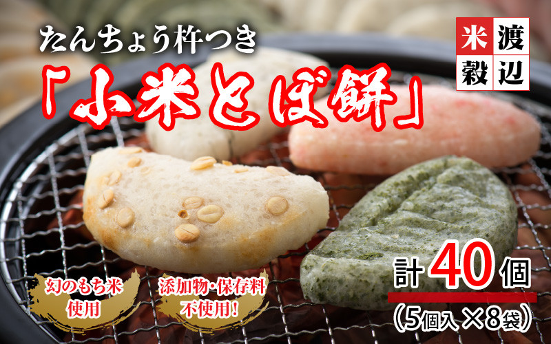 
            【先行予約】 たんちょう杵つき「小米とぼ餅」 計40枚 ～幻のもち米100％使用～ 【2024年11月下旬以降順次発送予定】 【つきたて モチモチ 添加物・保存料不使用 焼いてそのままでも おやつに 餅 もち おもち お餅 丸もち 福井 坂井市】 [A-2959]
          