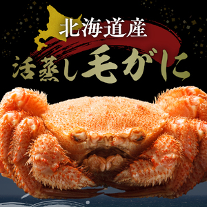 北海道産活蒸し毛蟹約550g×2尾【er001-082】