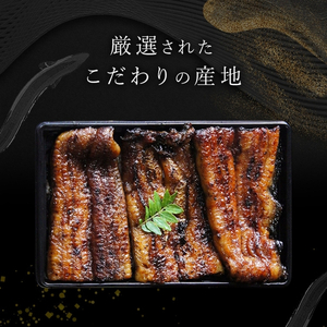 鰻蒲焼重箱「極上」2個セット 山椒・漬物付き　ギフト ウナギ 鰻 蒲焼 国産 国内産 プレゼント 誕生日 お歳暮 上田市 コシヒカリ グルメ 贅沢