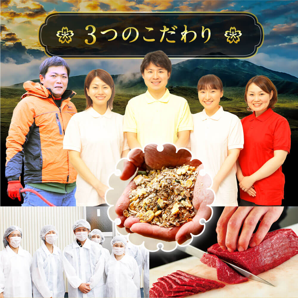 国産 熊本馬刺し 2種の霜降り 贅沢食べ比べセット 合計500g 大トロ 中トロ 馬肉