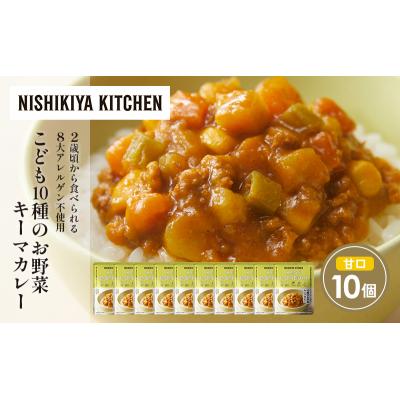 ふるさと納税 岩沼市 こども10種のお野菜キーマカレー10個セット にしき [No.5704-1707] |  | 01