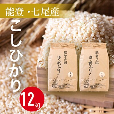 2023年11月発送開始『定期便』石川県七尾産コシヒカリ「能登の国」玄米12kg(6kg×2)全2回