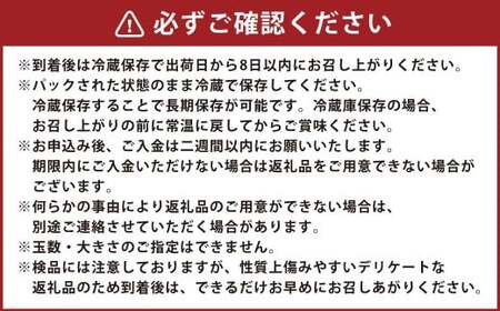 【先行予約】西見柿農園 冷蔵富有柿 9玉から11玉 (約3kg) 【2026年12月下旬-2027年1月下旬発送予定】 柿 かき カキ 果物 くだもの フルーツ 果実 ジューシー お取り寄せ 福岡県 