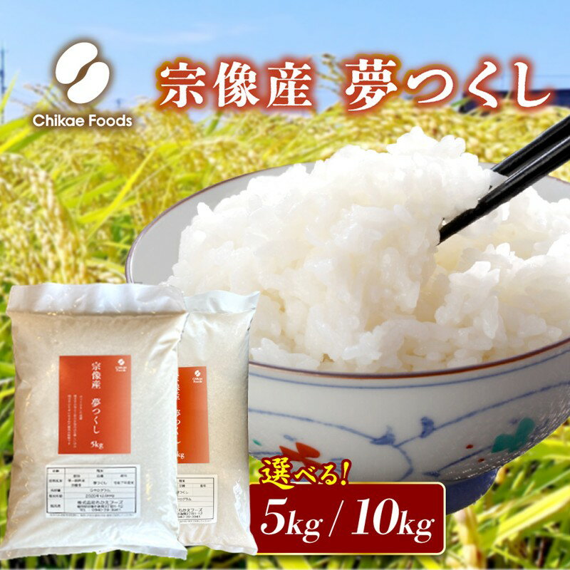 【ふるさと納税】宗像産 夢つくし 5kg 10kg【ちかえフーズ】米 白米 おいしい 福岡県 宗像市 宗像産 夢つくし 5kg 5キロ 10kg 10キロ