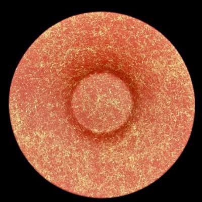 ふるさと納税 海南市 サラダボウル300　乱糸(マット仕上げ)本朱