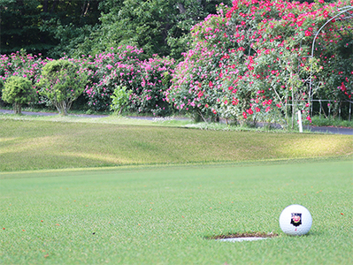 ローズランドカントリークラブ商品券（3,000円分）　ゴルフ