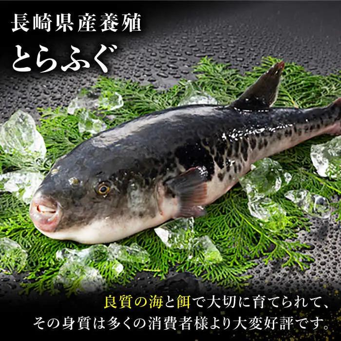 長崎県産 とらふぐ刺身5人前（アラ付き）/ ふぐ フグ 河豚 トラフグ ふぐ刺し / 南島原市 / 大和庵 [SCJ018]
