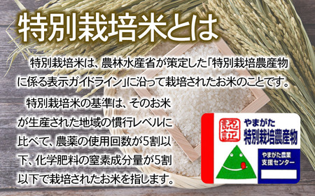 【令和6年産先行予約】 特別栽培米雪若丸 無洗米 10kg (5kg×2袋) ×6ヶ月【定期便】 山形県鶴岡産　鶴岡協同ファーム