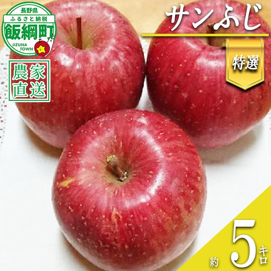 りんご サンふじ 特選 5kg やまじゅうファーム 沖縄県への配送不可 2026年12月中旬頃から2026年12月下旬頃まで順次発送予定 令和8年度収穫分 信州の環境にやさしい農産物 減農薬栽培 長野県 飯綱町 [0534]
