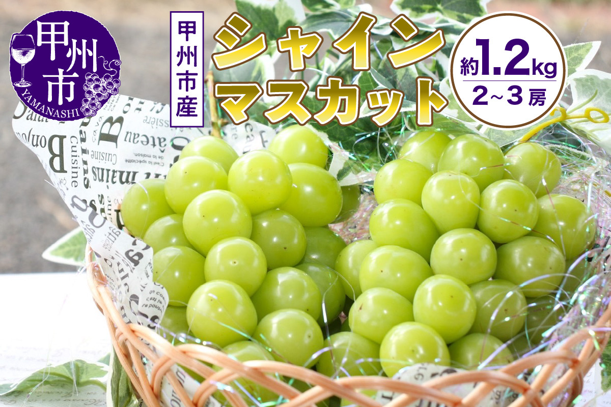 
            【選べる発送年度】山梨の自然が産んだスイートエメラルド甲州市産シャインマスカット！約1.2kg 2房～3房【2025年発送】【2026年発送】（UD）B-865 【シャインマスカット 葡萄 ぶどう ブドウ 令和7年発送 令和8年発送 期間限定 山梨県産 甲州市 フルーツ 果物】
          