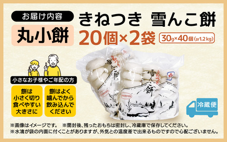 雪んこ餅 杵つき餅 丸小もち  1.2kg（ 30g × 40個 ) 小さいサイズ餅 国産 【雑煮 ぜんざい 年末年始 御馳走 添加物不使用 少量 小分け】 [e26-a006]