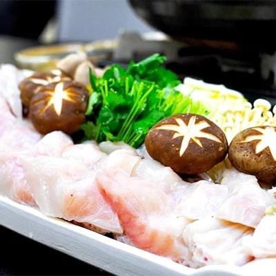 活とらふぐ ちり鍋 セット 1尾 (2～3人前) ＜南知多 料理宿監修＞ ふぐちり 愛知県 南知多町 人気 おすすめ