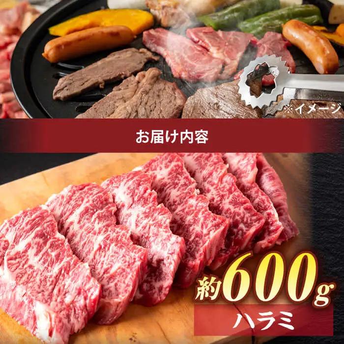 【スピード配送】ハラミ 600g (200g×3パック)  小分け焼肉 熟成 牛肉 ハラミ [ALEF008]