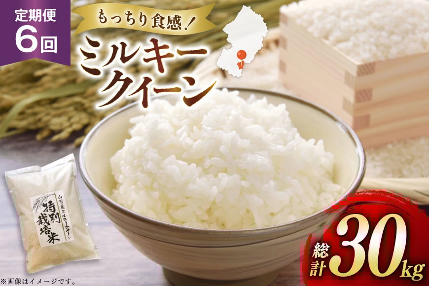 
            米 定期便 6回 令和7年産 特別栽培米 ミルキークイーン 5kg 6回 計30kg [渡部ファーム 山形県 高畠町 tk06ays810009] お米 白米 精米 ごはん ご飯 ブランド米
          