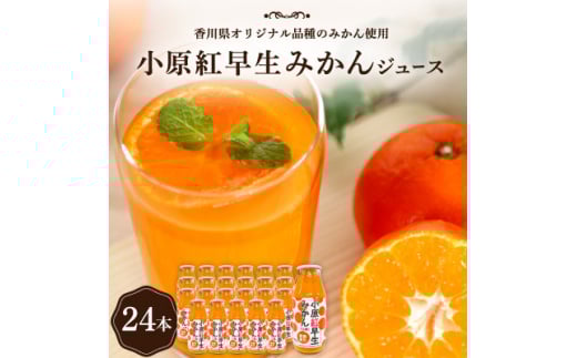 小原紅早生みかんジュース【1605638】
