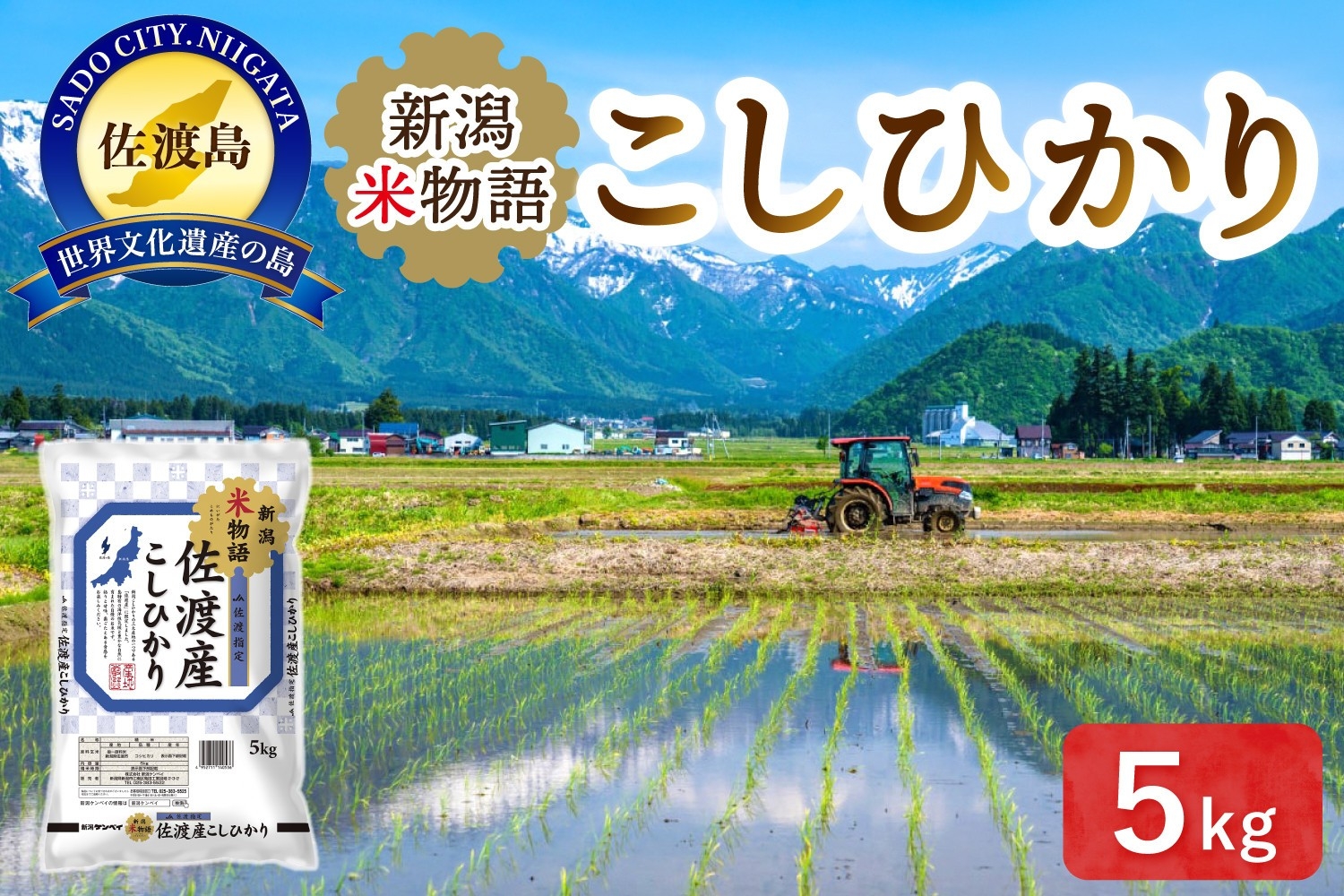 
                  【コシヒカリ 5kg】新潟米物語 佐渡産コシヒカリ 5kg 精米 | 新潟県産コシヒカリ 新潟産コシヒカリ 新潟コシヒカリ 佐渡島産コシヒカリ 新潟県産こしひかり 佐渡産こしひかり お米 米 こしひかり 白米 精米 ブランド米 おこめ コメ 5キロ にいがた さど 新潟県 佐渡市
                