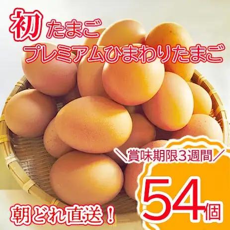 【最短翌日発送】＼２～５日以内発送／ 初たまご プレミアムひまわりたまご54個程度※破卵補償