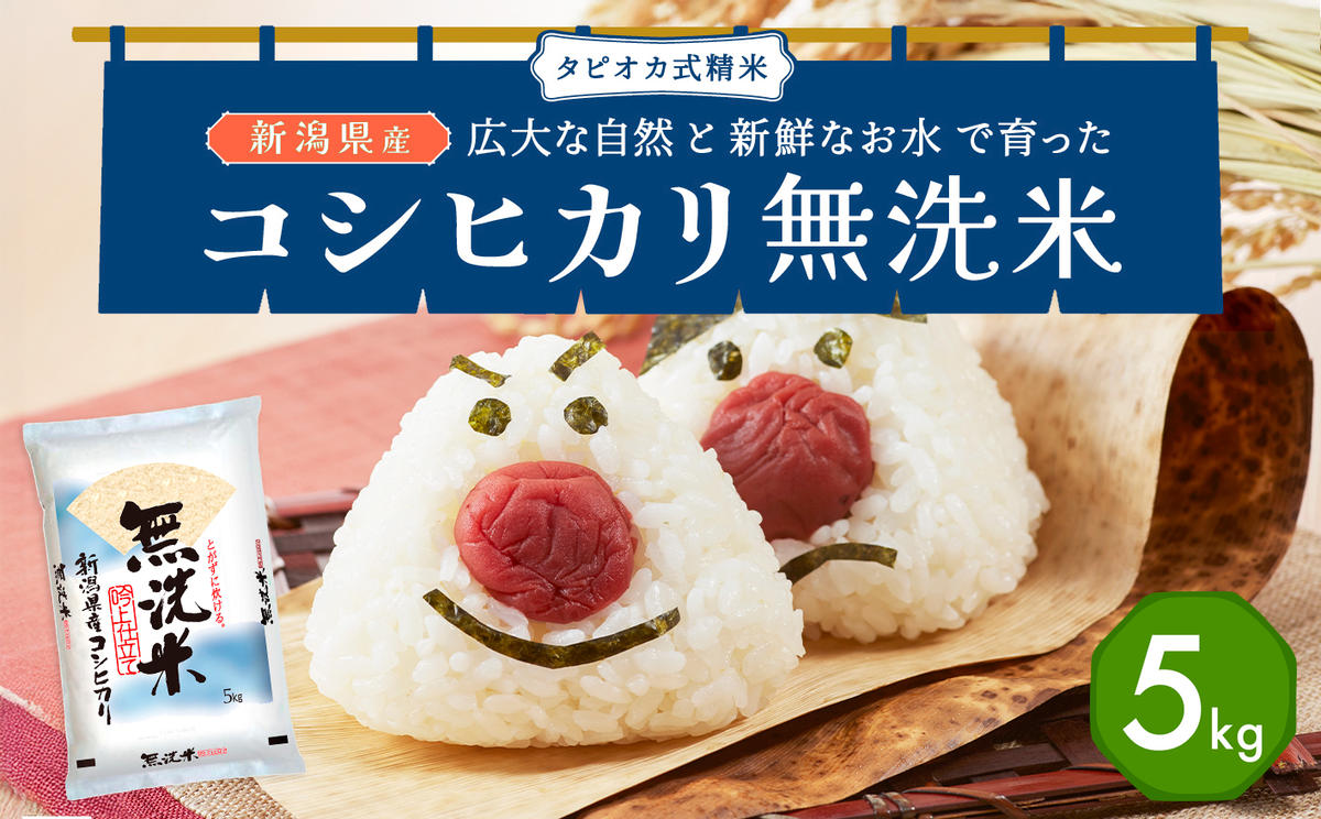 無洗米新潟産コシヒカリセット 5kg 産地直送