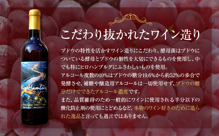 酒 日本ワイン 720ml 1本 矢掛放送 岡山県矢掛町《30日以内に出荷予定(土日祝除く)》 酒 ワイン 国産 ヒロハンブルグ 赤ワイン 国産 ブドウ---osy_cyhwine_30d_25_37