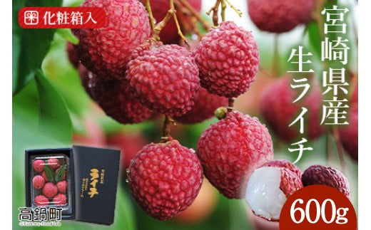 
                  ＜宮崎県産ライチ600g＞ ライチ フルーツ 果物 宮崎県 高鍋町
                