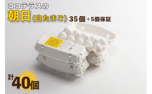 
ココテラスの朝日（白たまご）35個 + 5個保証（計40個）

