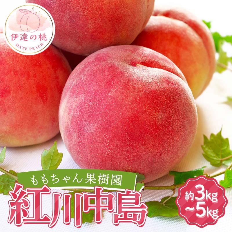 【ふるさと納税】≪2025年出荷分≫ 先行予約 ももちゃん果樹園の自慢の桃 「紅川中島」 《選べる容量》 約3kg・約5kg 2025年8月中旬～2025年8月下旬発送 伊達の桃 福島県 伊達市 桃 もも モモ 果物 くだもの フルーツ 国産 食品 F21C-044var