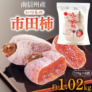 【南信州産】いつもの市田柿(トレー170g×6袋セット)【1227939】