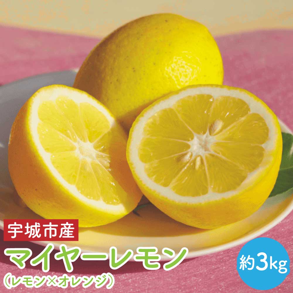 【ふるさと納税】先行予約 マイヤーレモン(レモン×オレンジ)約3kg(12〜20玉前後)【2026年11月上旬-2027年3月下旬発送予定】檸檬 果物 くだもの フルーツ 宇城市産 熊本県産 九州産 国産 送料無料 うちやま果樹園