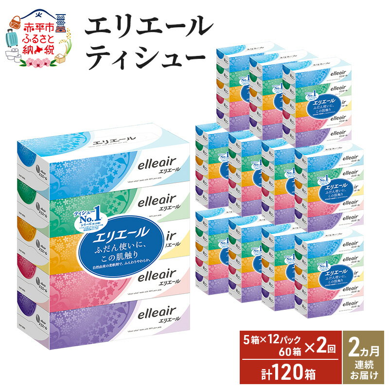 【ふるさと納税】2ヵ月連続お届け 計120箱 エリエール ティッシュ 180組5箱 12パック ティッシュペーパー 箱ティッシュ ボックスティッシュ 紙 まとめ買い 防災 常備品 備蓄品 消耗品 日用品 生活必需品 送料無料 赤平市　お届け：2026年3月31日まで