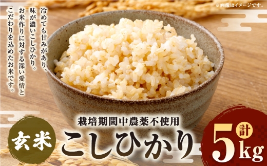 【 栽培期間中農薬不使用 】 こしひかり 玄米 5kg 茨城県共通返礼品 ・ 行方市産 お米 米 ご飯 おにぎり 和食 ブランド米 国産 茨城県産