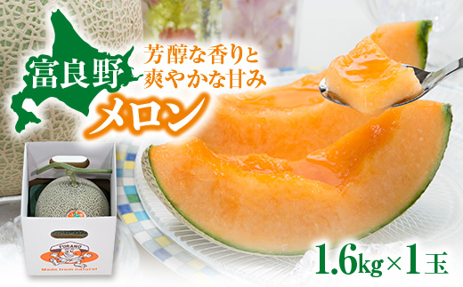
                  ＜2026年発送＞赤肉メロン　1.6kg×1玉_メロン 赤肉 果物 フルーツ 1.6kg 1玉 送料無料 贈答 ギフト ふらの 富良野産 北海道 富良野市【1695338】
                
