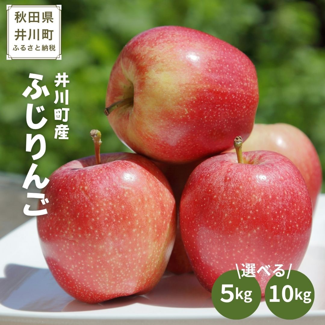 【ふるさと納税】秋田県井川町産　ふじりんご　選べる数量5～10kg　ふじ