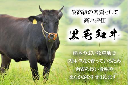 くまもと黒毛和牛 焼肉用ロース・カルビ 500g 《60日以内に出荷予定(土日祝除く)》 熊本県 長洲町 くまもと黒毛和牛 黒毛和牛 牛肉 肉 焼き肉 株式会社 羽根(出荷元：株式会社酒湊)---sn_fhnroka_60d_24_14500_500g---