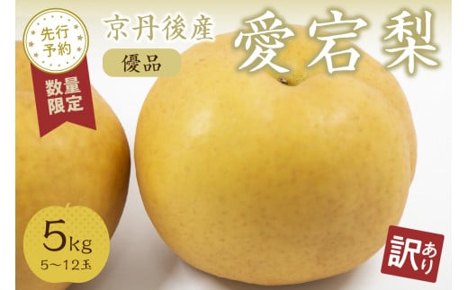 訳あり【2025年産／残りわずか】大きな梨 愛宕梨 優品 5kg（5～12玉入り）（2025年11月下旬～発送）　SF00025