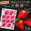 【ふるさと納税】【予約販売】 苺 いちご 古都華 ブランド苺 大粒 イチゴ 果物 フルーツ ことか 冷蔵 8～14粒 1パック 2025年1月以降発送 数量限定 大和いちご 6FARM 夫婦 なら 奈良県 奈良市