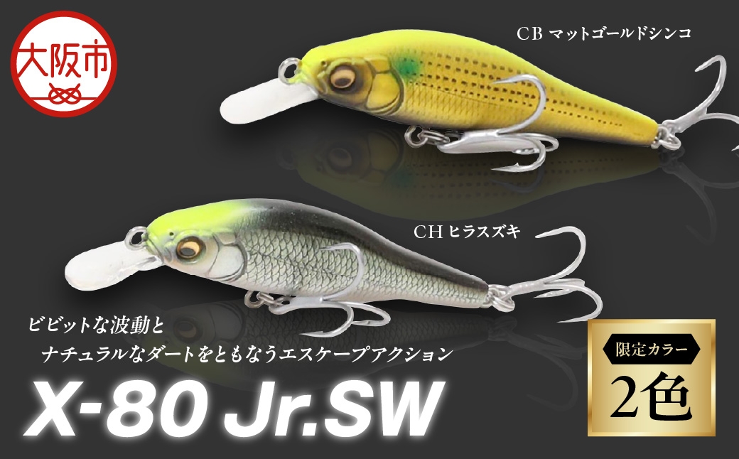 
                  X-80 JR.SW 限定カラー_OS226-0035-SKU
                